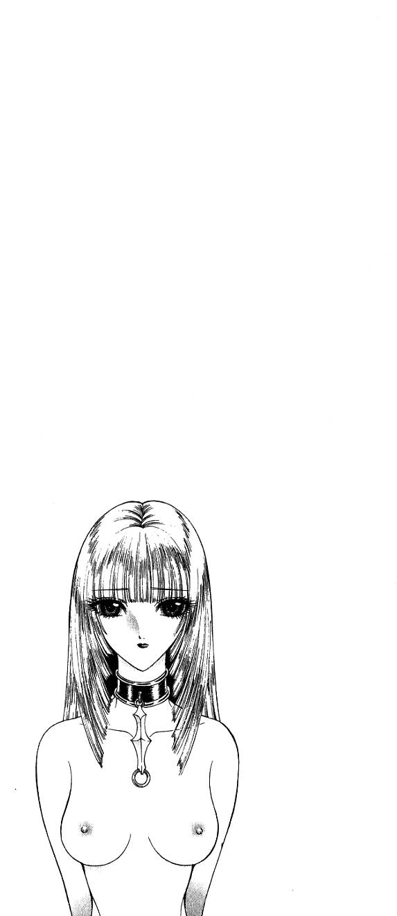 第204页