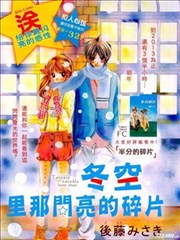冬空裡那闪亮的碎片