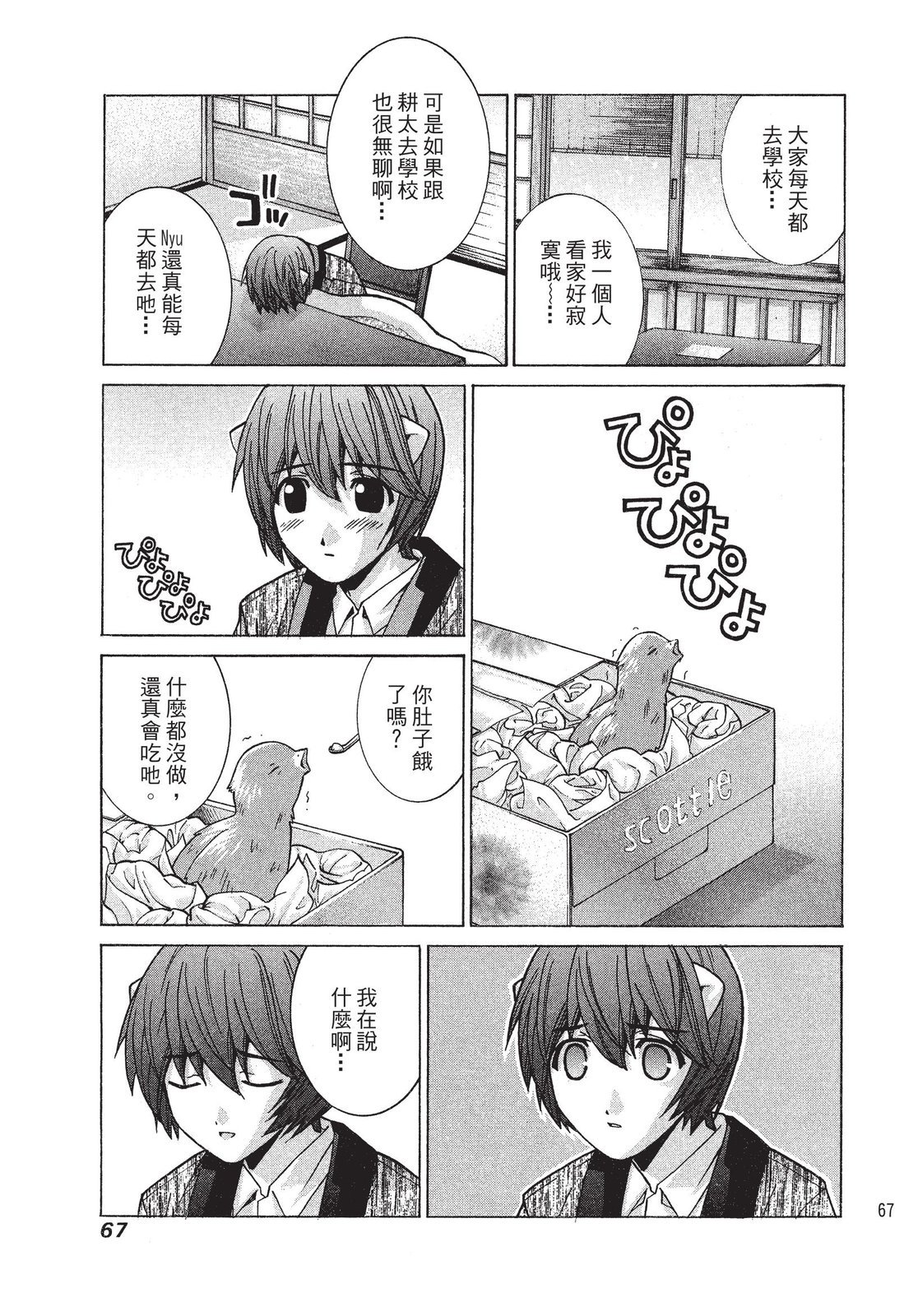 第66页
