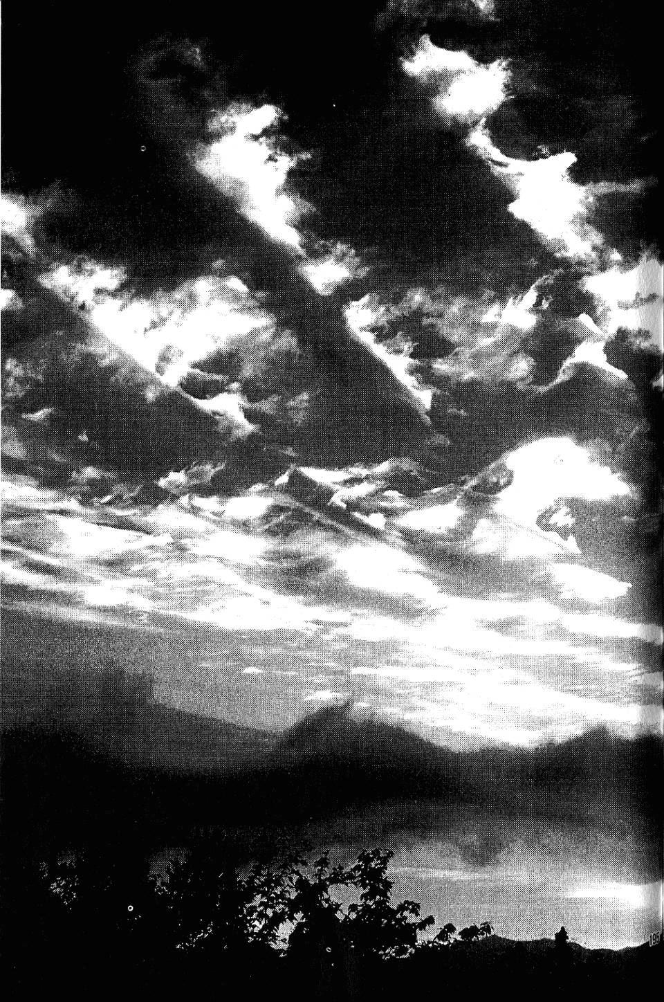 第194页
