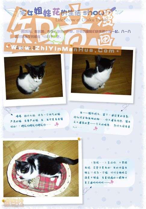 第119页