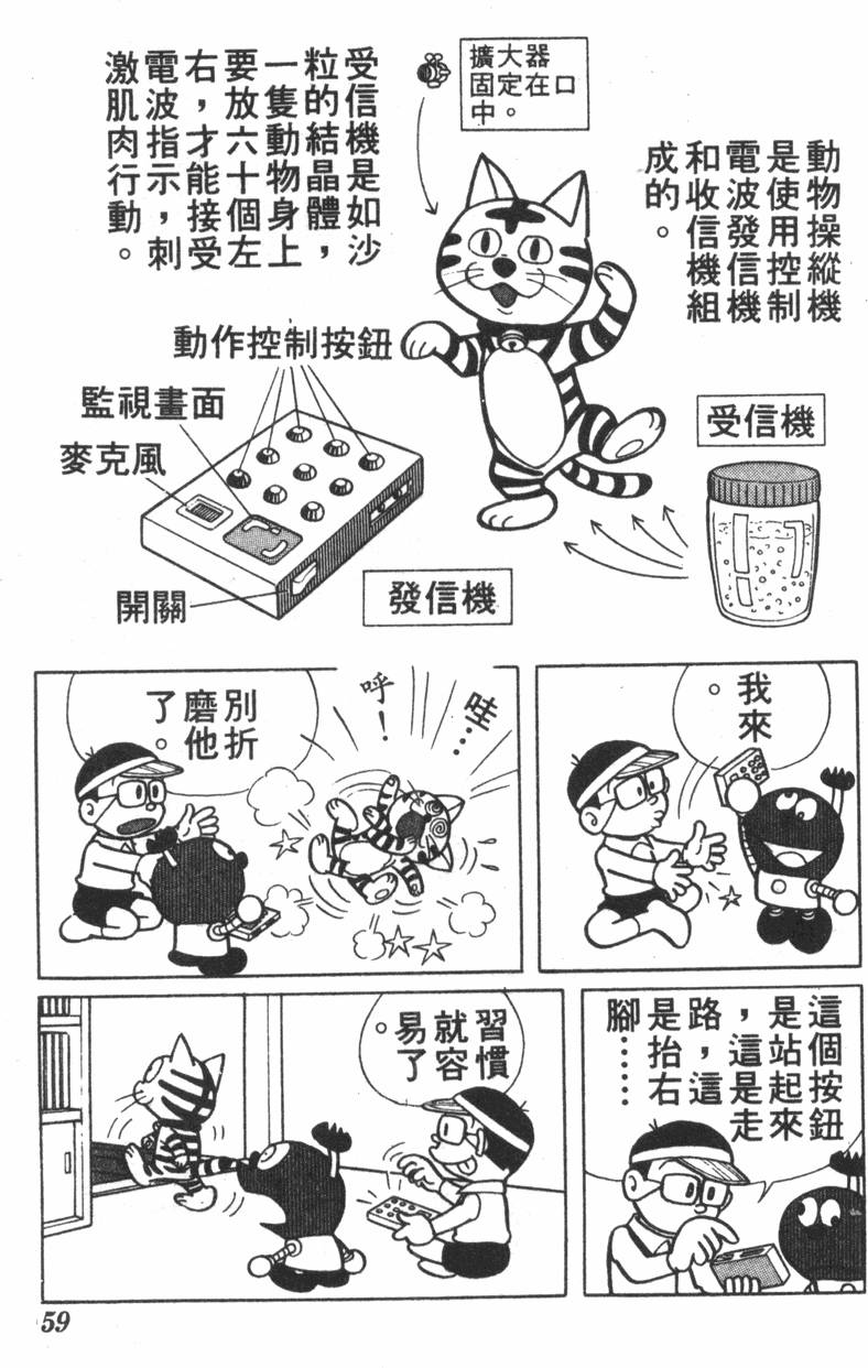 第55页