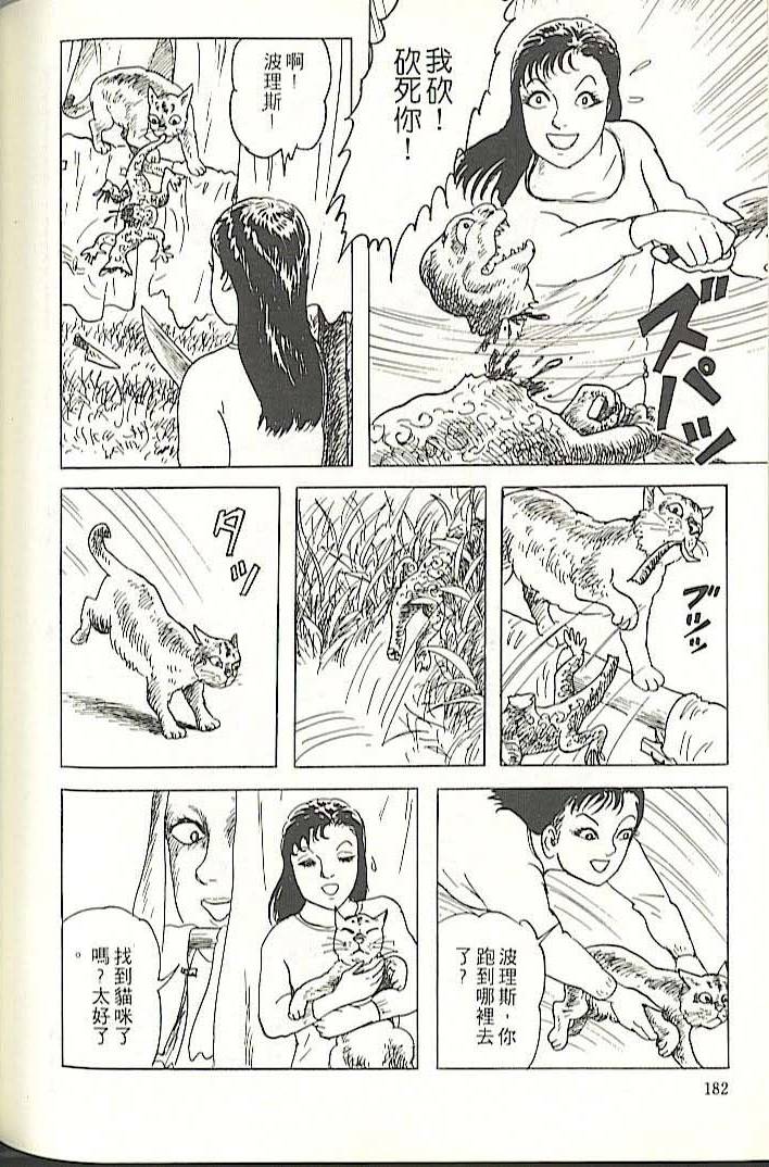 第178页