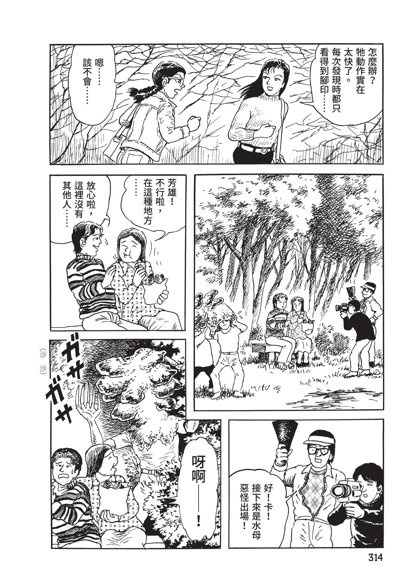 第315页