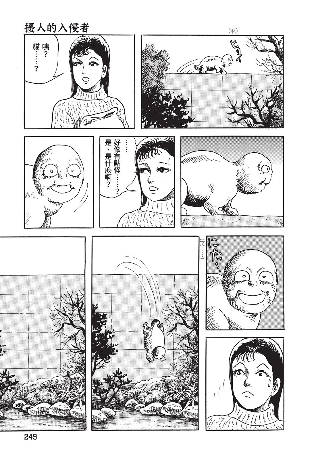 第250页