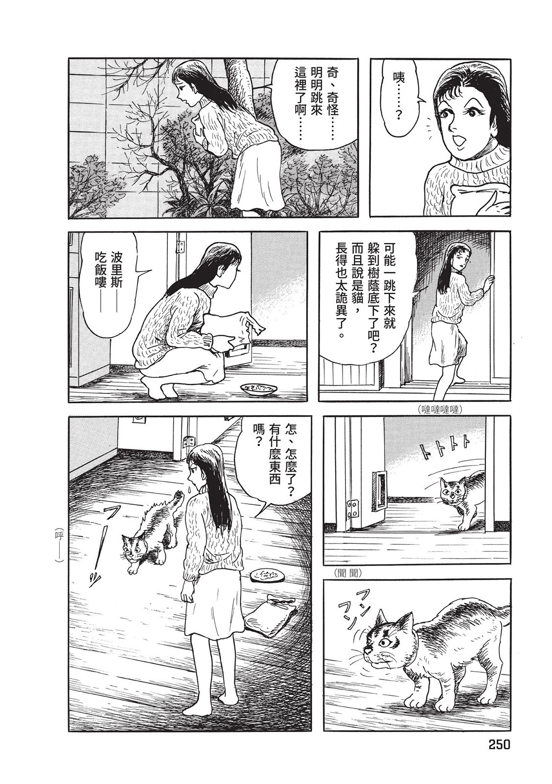 第251页